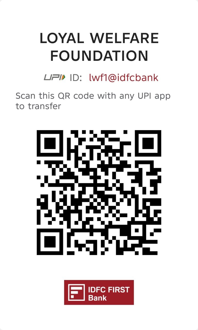 Payment QR Code